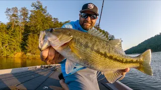 Fishing The Fall Transition For Bass (Subtle Tricks To Catch More Fish)