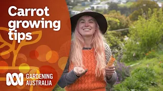 How to spread out a carrot harvest using succession planting | Gardening 101 | Gardening Australia