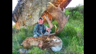 Chasing Stags - Fallow Deer Hunting in Molteno EC