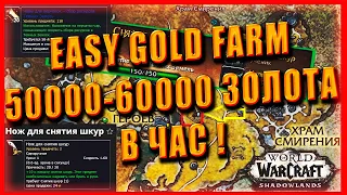 SOLO 60 000 G/H GOLD FARM Skinning ! ЛУЧШИЙ СОЛО ГОЛДФАРМ World of Warcraft Shadowlands 9.0.2