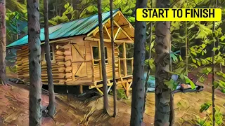 Building an off grid log cabin in the woods (start to finish)