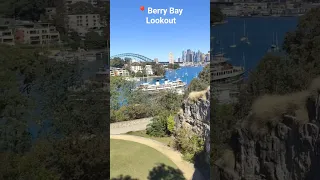 Berry Bay Lookout #walk #views #shorts #shortwalk #sydney #nsw #australia