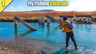 This River was LOADED with Big Brown Trout! || Fly Fishing Colorado PT. 1