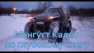 Мангуст Кадет по глубокому  снегу.