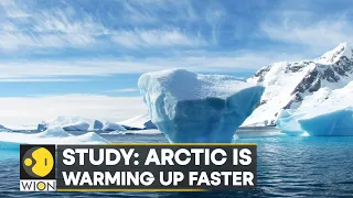 Study: Arctic heating up 4 times faster than rest of Earth | WION Climate Tracker | English News