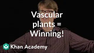 Vascular plants = Winning! | Crash Course biology| Khan Academy