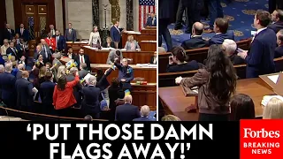 'Put Those Damn Flags Away!': Anna Paulina Luna Rips Lawmakers Waving Ukraine Flags On House Floor