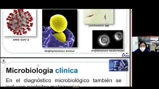 Microbiología clínica I