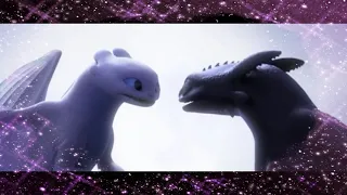 Toothless & Light Fury-So am I ~For DragonPrincess Gamer~