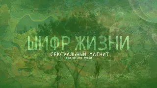 Аффирмации для мужчин. Программирование во сне. Сексуальный магнит.