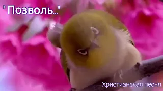 🌿" Позволь..."🌿  Христианская песня.