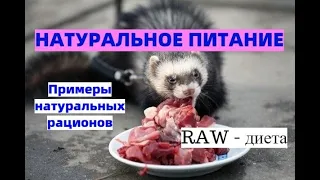 Натуральное кормление / RAW - питание / Примеры натуральных рационов / Кормление мясом