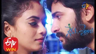 Nenu Sailaja | 21st January 2020  | Full Episode 223 |  ETV Plus