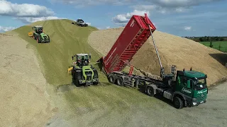 Mais schieben mit Claas Xerion 4000 & 4200 und Prinoth Leitwolf [Sound]