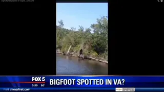 Bigfoot Sighting [Massive]
