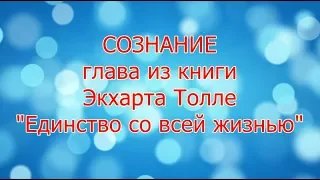 Сознание   8 глава из книги Экхарта Толле Единство со всей жизнью