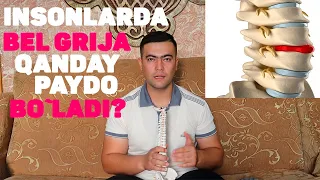 Disk churrasi kasalligi insonlarda qanday paydo bo`ladi ? | Бел грижаси кандай пайдо булиши хакида