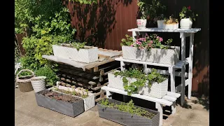 Made a simple flower rack from pallets