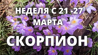 СКОРПИОН ♏️ ТАРО ПРОГНОЗ с 21-27 Марта/March-2022