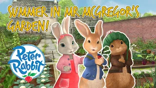 @Peter Rabbit - Summer in Mr McGregor's Garden! | Cartoons for Kids