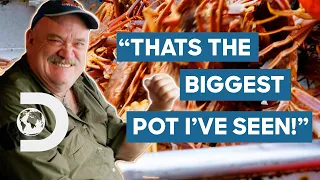 The Wizard Crew Lure In The BIGGEST Cage Of Crabs Ever! | Deadliest Catch