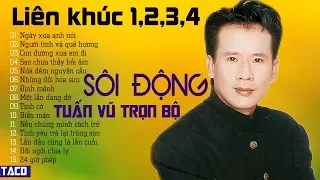 LK NGÀY XƯA ANH NÓI | LK TUẤN VŨ SÔI ĐỘNG 1,2,3,4 TRỌN BỘ | ĐỈNH CAO NHẠC VÀNG TRỮ TÌNH HẢI NGOẠI