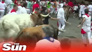 Thousands flee stampeding bulls as many are gored in 'Pamplona bull run'