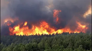 Лесные пожары охватили территорию Сибири, Россия