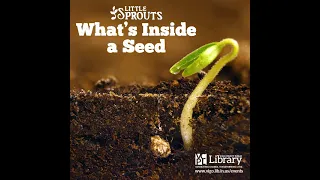 Little Sprouts: What's Inside A Seed? 🌱