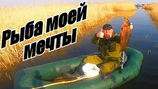 Рыбалка на паук!!! Рыбалка на сазана!!! Открыл сезон!!! Рыбалка 2020!!!