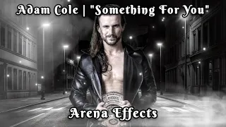 [INDY] Adam Cole ROH Theme Arena Effects | "Something For You"