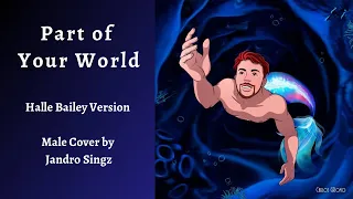 “Part of Your World” (2023) - Halle Bailey - Male Cover by Jandro Singz