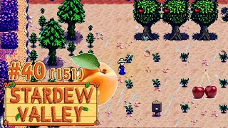 Разбил фруктовый сад ☀ Stardew Valley Прохождение 2 сезон #151