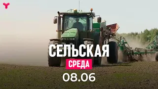 Сельская среда 08.06.2022