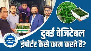 वेजिटेबल इम्पोर्टर कैसे काम करते है? Green Chilli Export Import Business