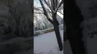 Ifrane la petite suisse du maroc 17/12/2019