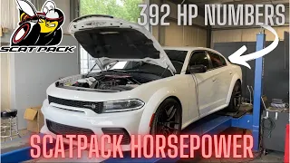 392 SCATPACK HORSEPOWER NUMBERS |DODGE CHARGER SCATPACK WIDEBODY ON THE DYNO -- HOW MUCH HP?|