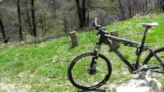 CUBE AMS 125 RX 2010 p2