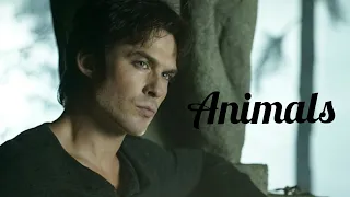 Damon Salvatore (Vampires diaries) || Animals