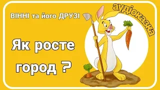 Як росте город? #Вінні та Його Друзі - Аудіоказка