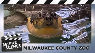 Behind the Scenes: Aquatic and Reptile Center at the Milwaukee County Zoo