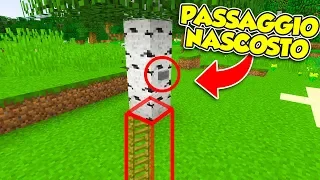 Minecraft ITA - IL MIGLIOR PASSAGGIO SEGRETO!!