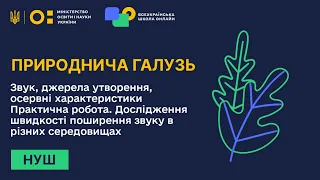 Природнича галузь. Звук, джерела утворення, осервні характеристики  Практична робота