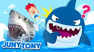 ¡Tiburones en Acción! | Datos Curiosos sobre Tiburones | Canciones Infantiles | JunyTony en español