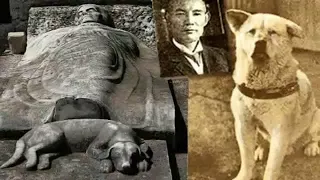 Real Life, The True Story of Hachiko - The Faithful Dog