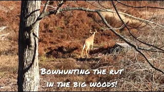 Big Woods Bowhunting [] Hunting The Rut In Pennsylvania '22