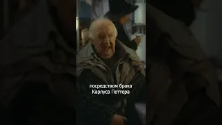 Родственная связь Джеймса Поттера и Сириуса Блэка #shorts