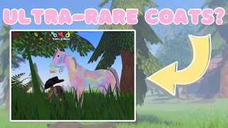 *ULTRA-RARE COATS* Possibly Coming to the Game?! | Wild Horse Islands