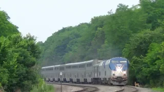 Amtrak Train Hits Deer