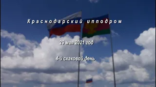 Видео 4 скаковой день   29 05 2021г  Краснодарский ипподром